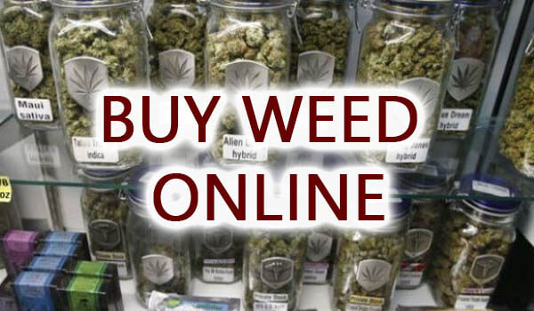 3 Reasons Why People Buy Weed Online UK, USA And Europe At Large - Weed ...